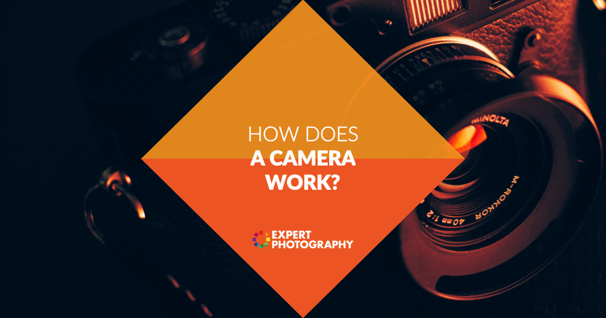 How Does A Camera Work Photography Basics Explained