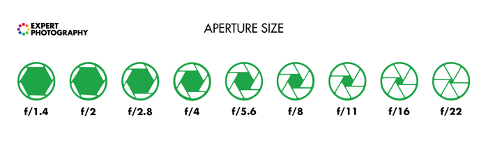 What Is Aperture And Why It Matters In Photography