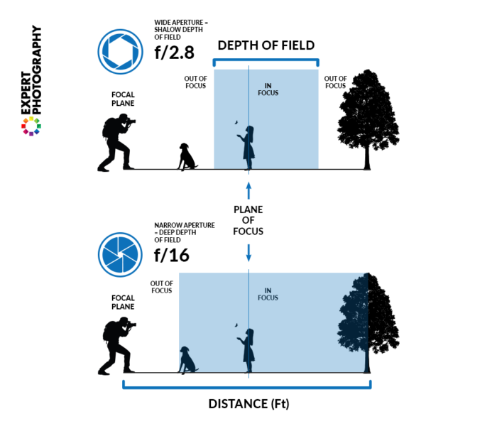 detailed diagram explaining how aperture affects depth of field