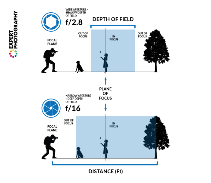 What is Depth of Field   And Why it Matters in Photography  - 74