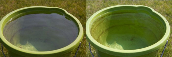 A diptych of the same photo of a green bucket on a sunny day, before and after using a polarizing filter