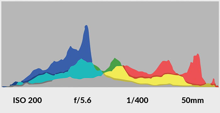 A camera histogram - learning how to take good pictures