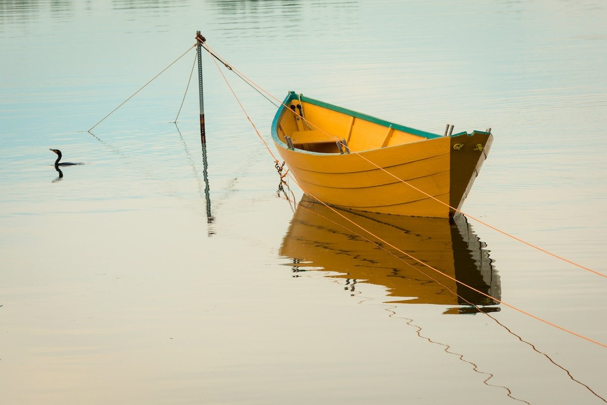 A bird and boat in water with reflections showing triangles in photography