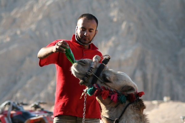 A man in a red t-shirt feeding a camel - Shooting Modes