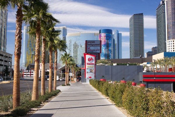 An alley lined with palm trees on the left and skyscrapers on the right