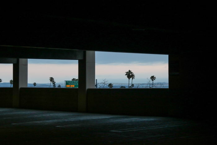 Palm trees through the windows of a concrete building creating a frame composition