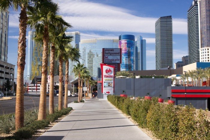 Image with palmtrees and skyscrapers showing depth 