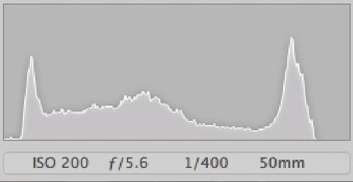 a histogram from a well exposed photo