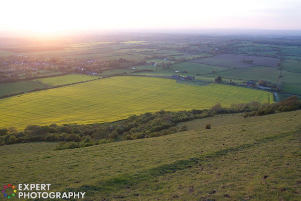 Photo of a green field