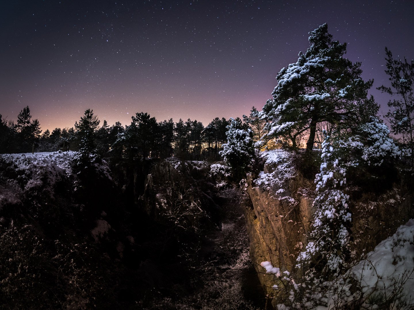 A winter night landscape with trees and snow and a dusk sky with pinpoint stars
