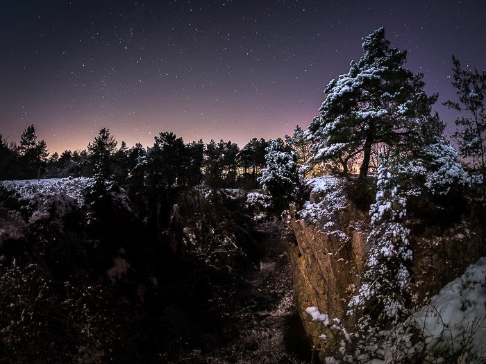 Night shot snow covered trees of Fondry des Chiens, Belgium 