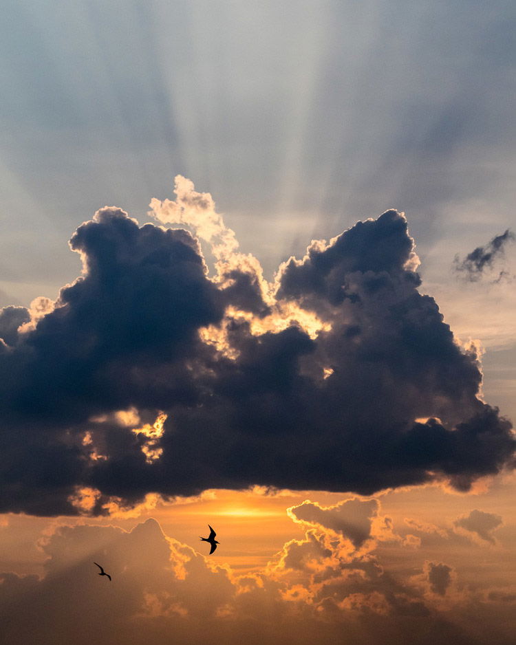 Foto espectacular de la luz del sol detrás de una nube oscura, pájaros volando debajo.  Los 10 ingredientes secretos principales de la fotografía profesional revelados