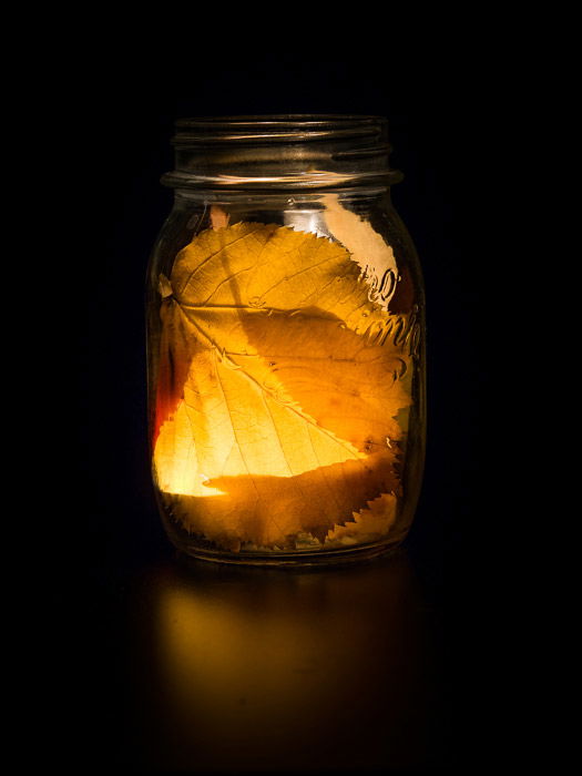 A still life photography image of leaves and a light inside a jar