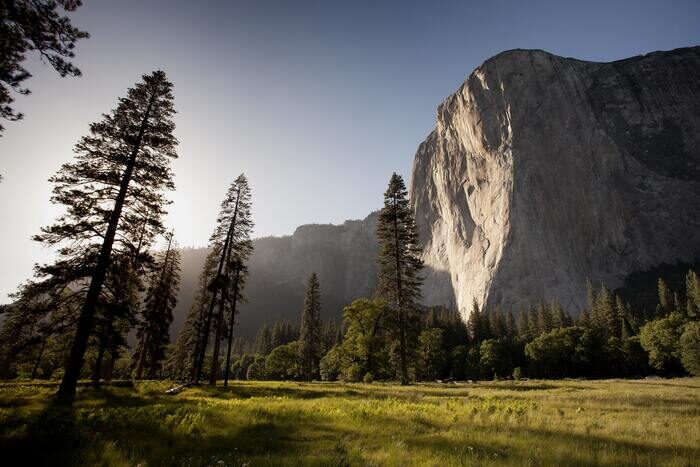 Photo of a bright landscape with trees and a cliff