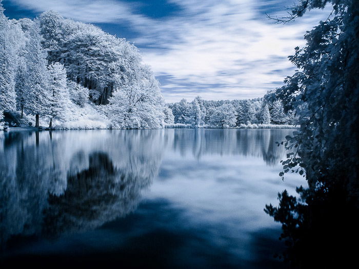 How to do Infrared Photography with Basic Camera Gear - 5