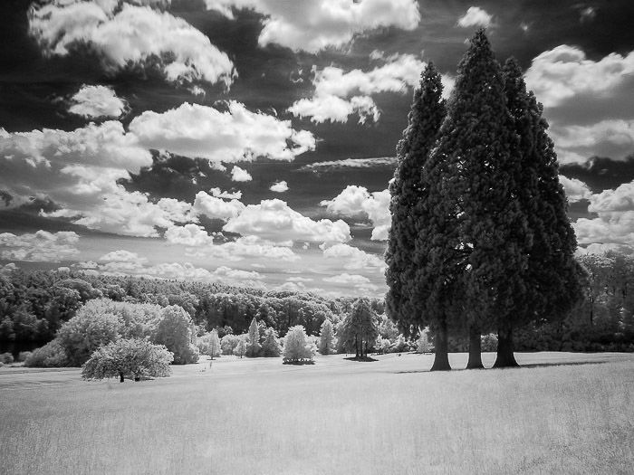 How to do Infrared Photography with Basic Camera Gear - 64