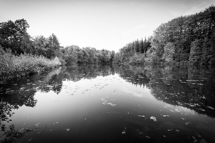 A black and white infrared photography shot of a pond in Belgium