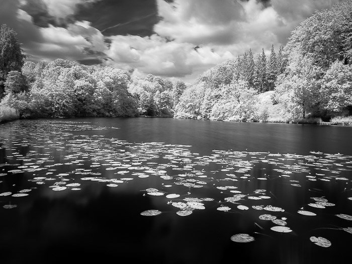 Black and white conversion of infrared photography