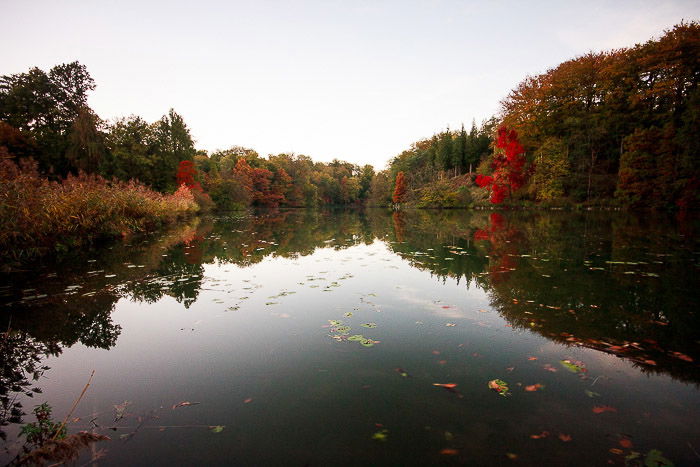 A pond in the “Domaine Solvay - Chateaux de la Hulpe”, La Hulpe (Belgium).