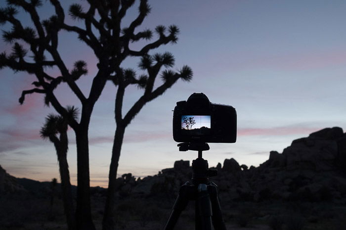 My Canon 5D Mk III at dusk.