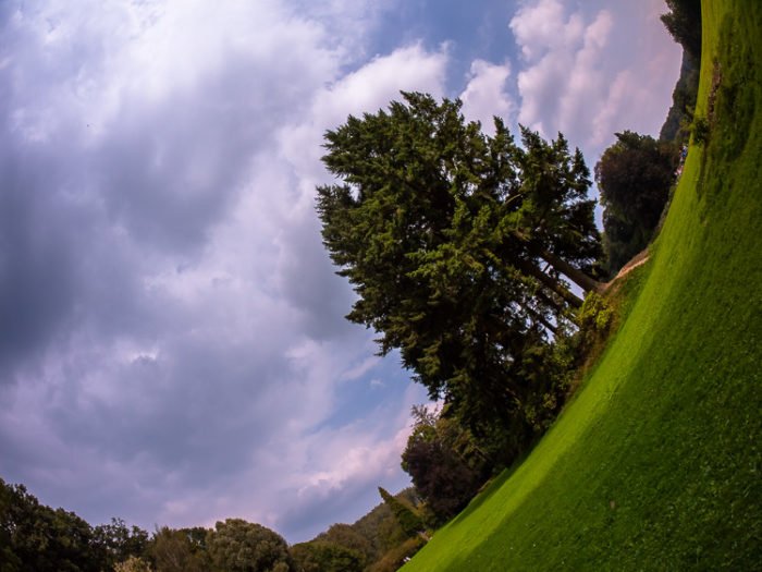 Fisheye Lens Photography: distorted view of park and sky