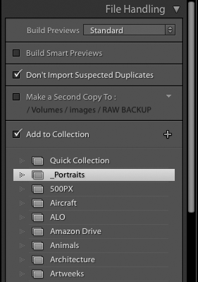 Import section of File Handling dialogue box in Adobe Lightroom