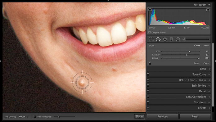 Screenshot of using the spot removal tool to edit portraits in Lightroom