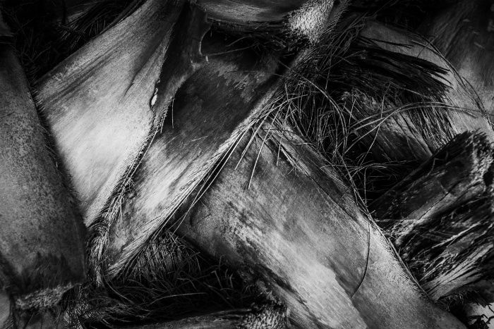 How to Create Compelling Black and White Texture Photography - 78