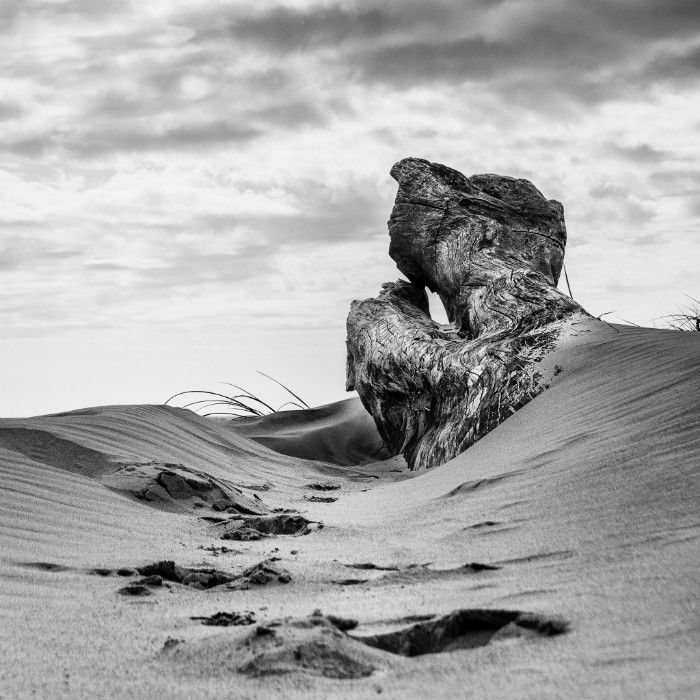 Black and white photo of sand dune with textured wood