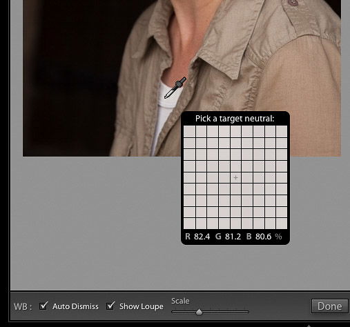 Close up screenshot of the Lightroom white balance tool