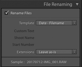  screenshot showing how to import photos into Lightroom - file renaming