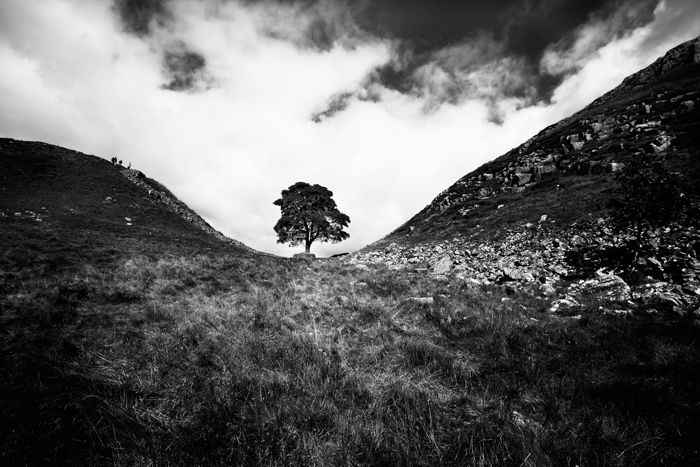 9 Black and White Landscape Photography Tips for Better Photos - 96