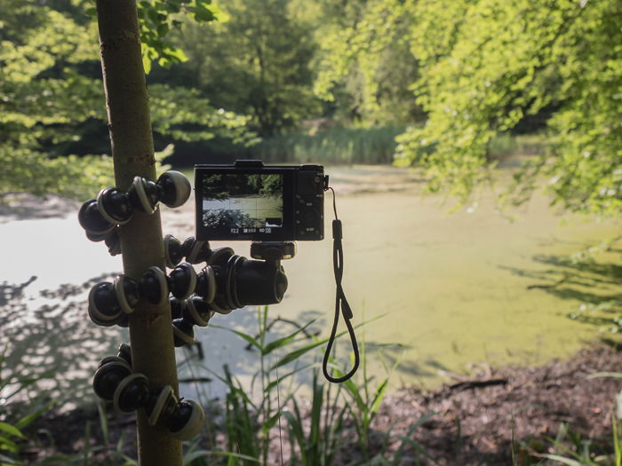 Tripods for Landscape Photography: Camera mounted on Joby Gorillapod SLR Zoom wrapped onto a tree