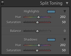 Monochrome Photography vs Black and White  Difference   - 77