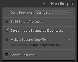 Importing photos into Lightroom: The File Handling panel