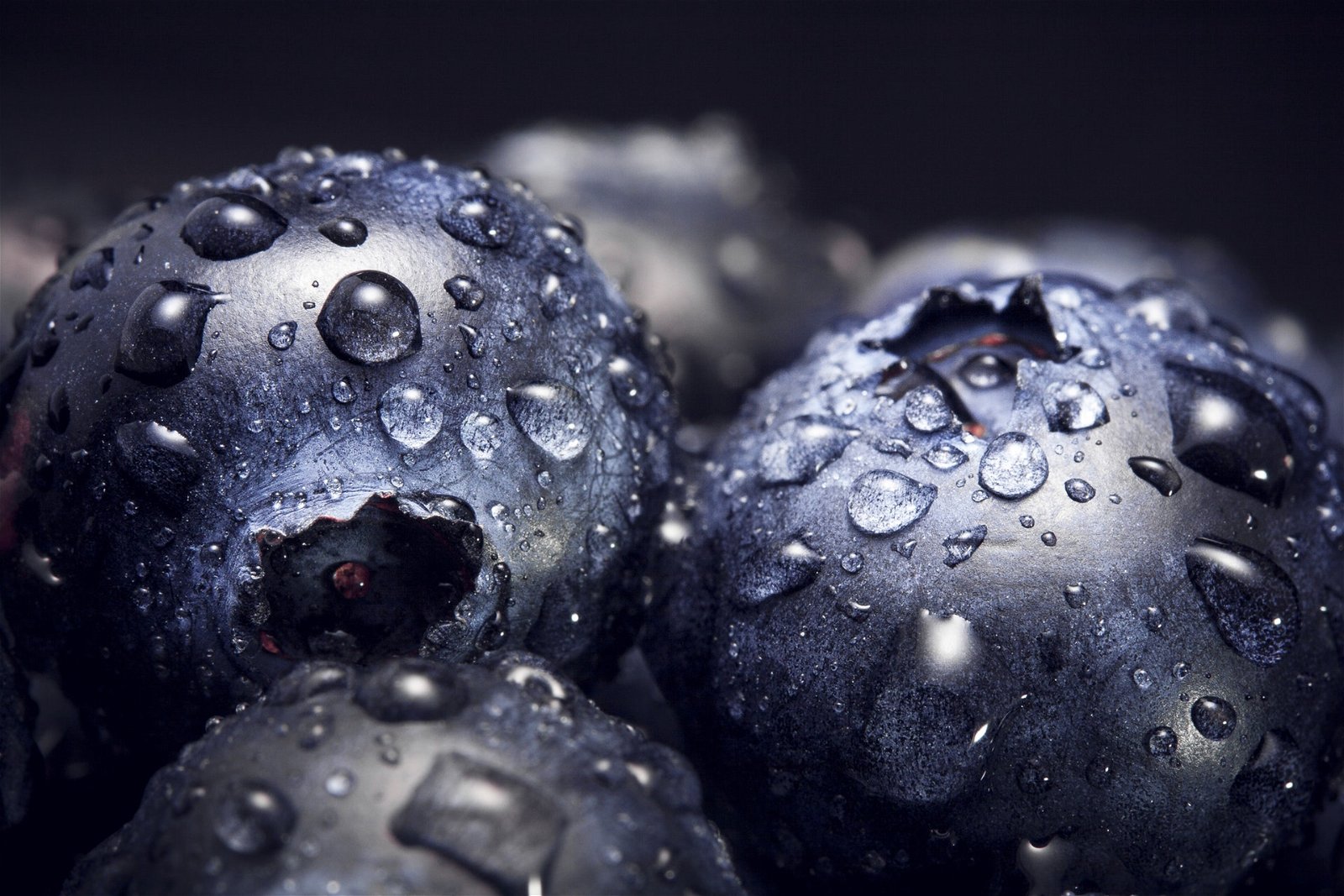 Settings for Macro Photography: Close-up image of blueberries with water droplets lit with flash