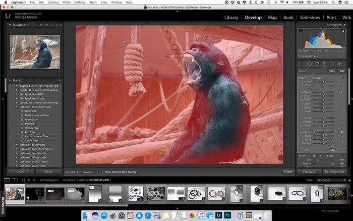 A screenshot showing how to blur the background in Lightroom using brush tools