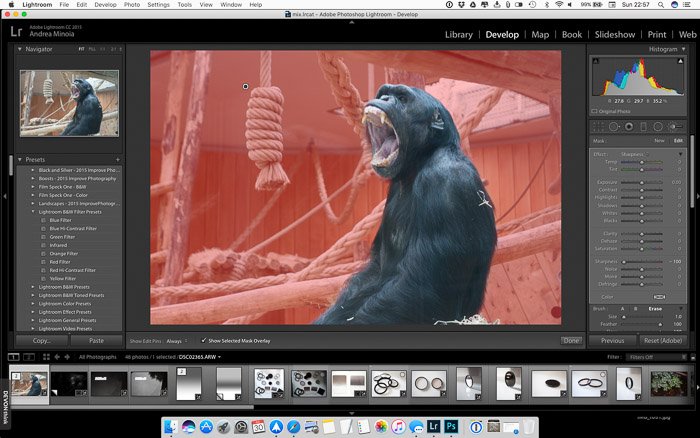 A screenshot showing how to blur the background in Lightroom using a coarse mask