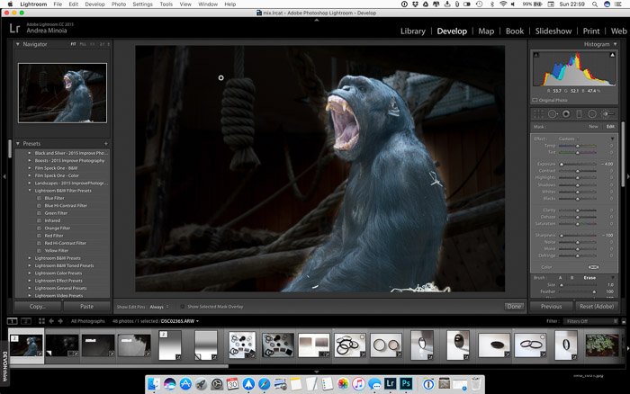 How to Blur the Background in Lightroom (Step by Step)