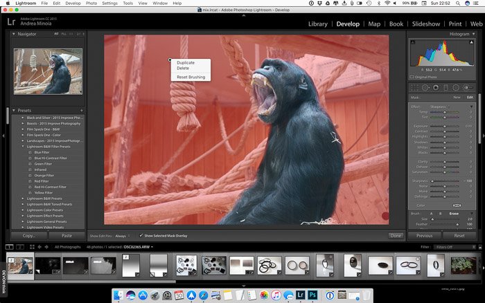  Blur the background in Lightroom: Duplicating a brush using right-click in Lightroom