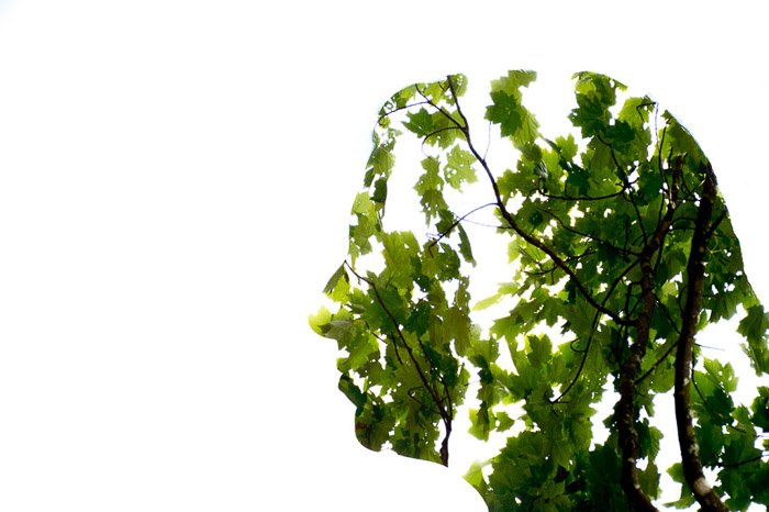 A double-exposure silhouette of a womans head and a leafy tree