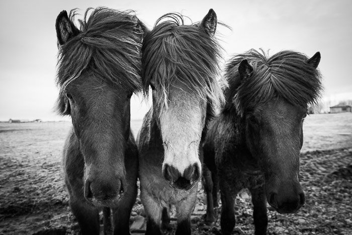Casey Kiernan s Iceland Photography Workshop Review - 41
