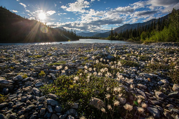 The rocky bed of an Alaskan river, looking on Mt McKinley