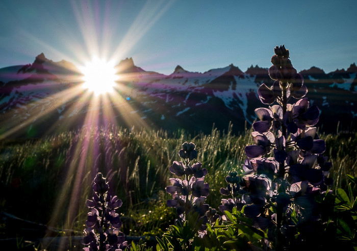 Stunning sun-rays striking a wild Alaskan national park