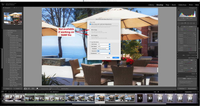 A screenshot of using the Google Nik Collection in Lightroom - Editing dialogue when working with RAW