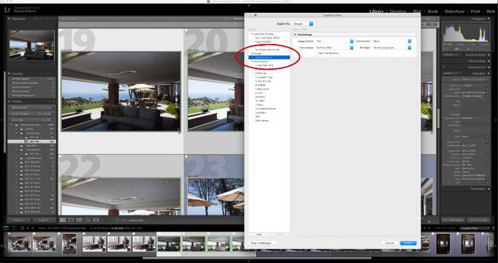 A screenshot of using the Google Nik Collection in Lightroom - HDR Efex Pro export menu, compiling several photos into one HDR image