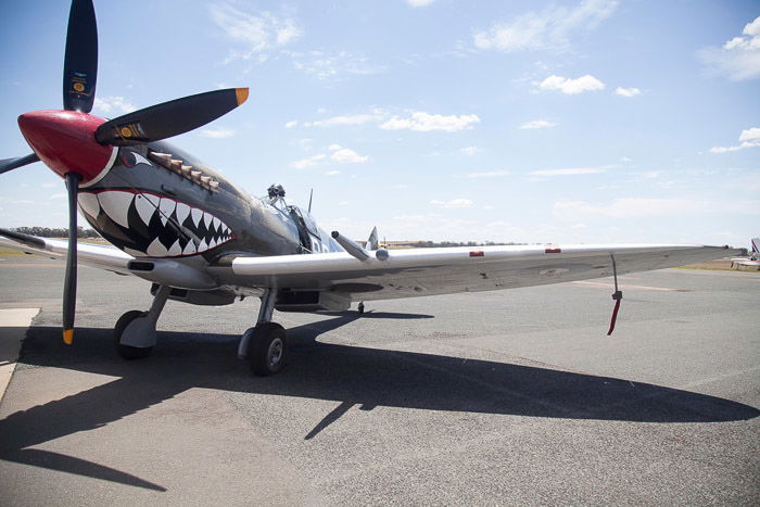 Gorgeous propeller plane on runway