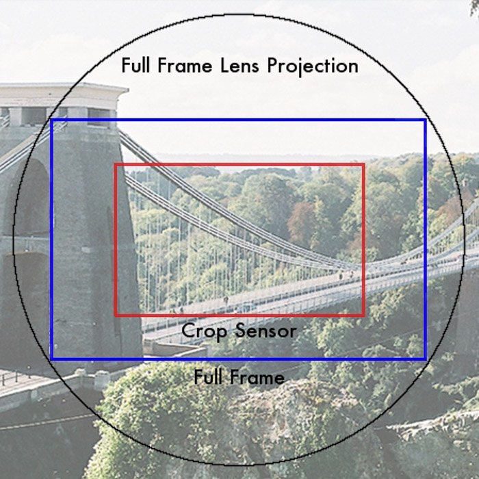 Infographic of a full frame lens projection vs. full frame and crop sensor