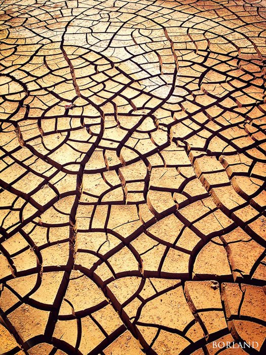 A cracked desert floor showing a great texture for landscape photography