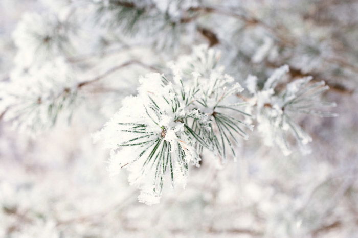 How to Shoot Winter Landscape Photography in the Snow